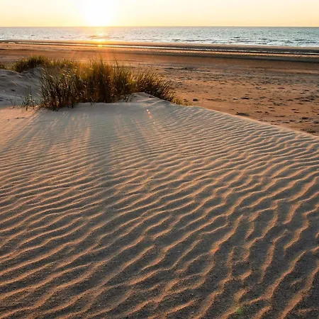 On The 8th Floor With Terrace *